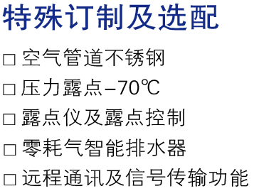 特殊訂制及選配.jpg